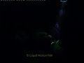 Beyond The Blue by Anita and Guy Chaumette