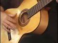 How to Play Flamenco Guitar Made Easy Instructional DVD How to Play Flamenco Guitar Made Easy Instructional DVD