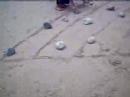 Damai Beach Resort Overnight Stay (Part 8) Damai Beach Resort Overnight Stay (Part 8)