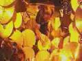 IRON MAIDEN - No More Lies video