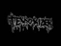 Terrorizer - After World Obliteration