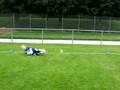 virtuelles Torwarttraining - Das Werfen - F-Jugend