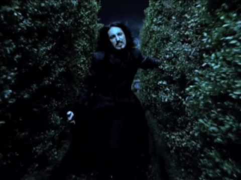 nine inch nails perfect drug