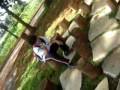 videos de Oi lelly