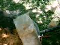 Salvage Bongkah Cendawan