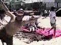 Paseo a la playa curso 7ºA, S.M.E. de Ovalle, Año 1993.