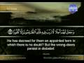 View Video