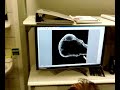 Biotech Mikroskopie