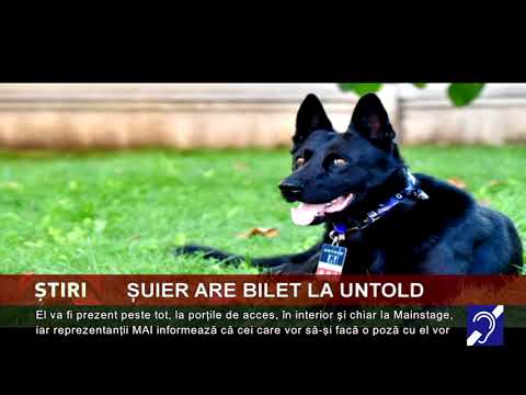 Șuier are bilet Untold