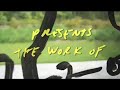 States of Mind: Dan and Lia Perjovschi