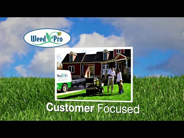 Weed Pro_Corporate Video