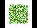 Cell based simulation of blood-vessel growth - Movie S1