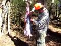 4wheeler-Deer-skinni