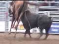 Rodeo-Horse-Fatally-