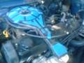 tercel racing chitre