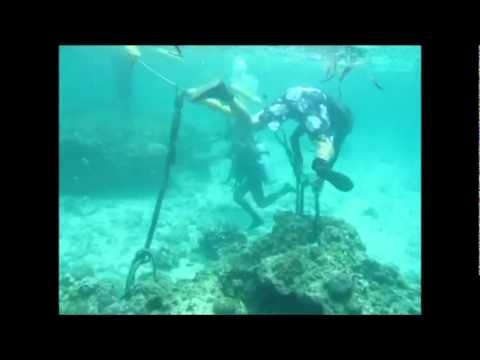 See video