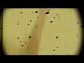 A LIFE ONCE LOST - FIREWATER JOYRIDE official music video