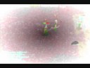 jeen is nub bh vid2