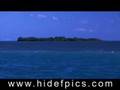 Scuba Diving the Florida Keys DVD intro clip