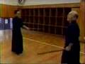 Taisha ryu Kenjutsu