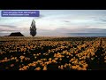 Two Minutes With Bill English.mov