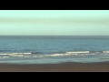 Porthcawl Surf - Video Clips