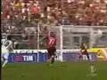 Il Grande Miccoli Di Palermo