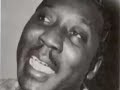 The Muddy Waters Show