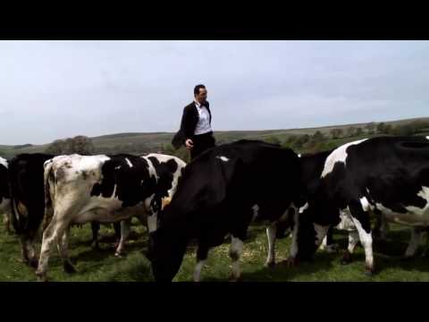 Cantante de ópera actúa delante de vacas para que produzcan mejor leche
