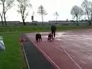 Wishaw Track Wishaw Track