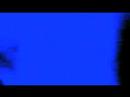 beeobee: Blauw