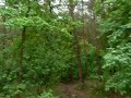 Onderduikershol