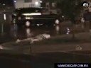 Un golpecito Un golpecito