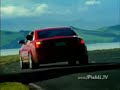 Wrinkle-free Shar-pei