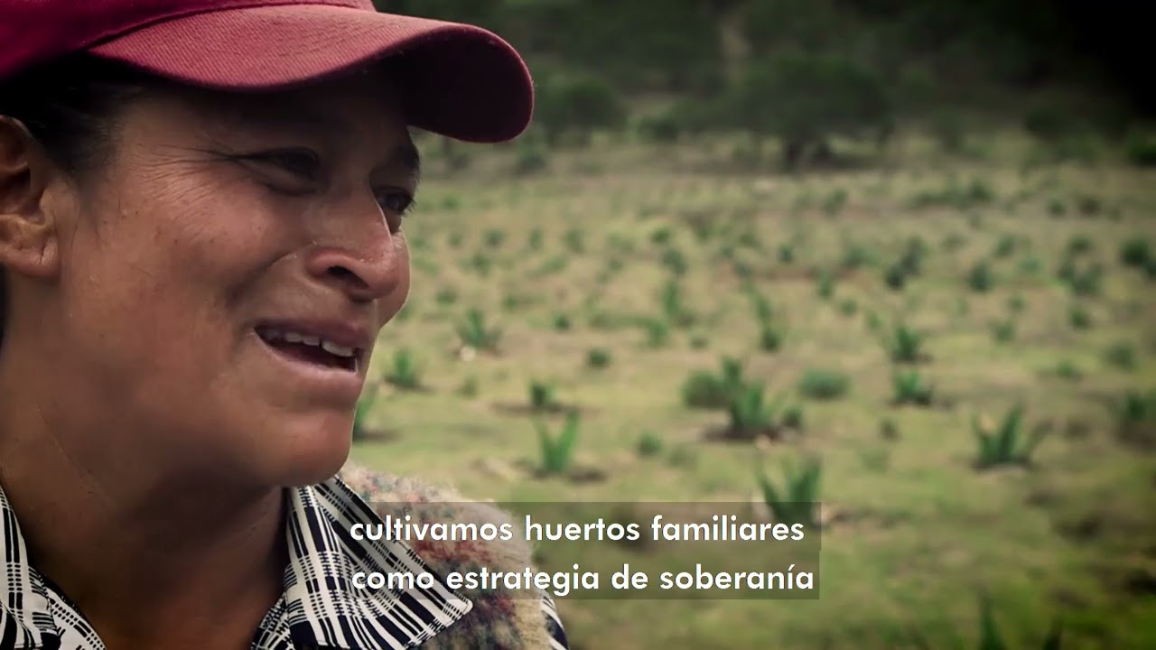 Coordinadora de Mujeres Líderes Territoriales de Mesoamérica