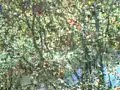 nashville-to-cookeville-part-2.html