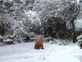 Cosmonaute Memoirs - the Part that repeats - L'Joue de vie
