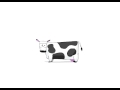 Cow 2 Cow 2