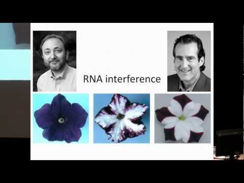 how to isolate exosomes from blood