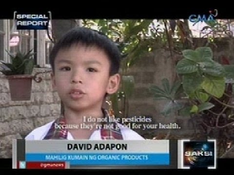 Saksi: Ilang ibinebentang organic products, hindi sertipikado