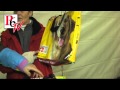 submitted by P6-TV on Wed Dec 7 2011 at 08:57am
