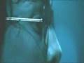 Harry Potter Half blood Prince/Deathly Hallows fan trailer