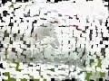 Thumbnail #1