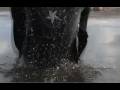 videos de Influence Your Surroundings - Street Acrobatics - 3RUN