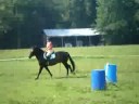Canter Dressage Work