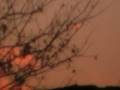 Ufo in clouds in NJ