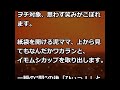 【泥ママ】バイクのミラーに荷物をかけて買い物へ。戻ってくると見知らぬママが泥しようとしてた。中を覗き込み『どれどれ、何が入っ…ひぃっ!?』→チャリを将棋倒しにして素っ転んだw ママっこ男子