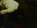 Br�drene Br�k - Thomaaas