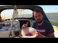 Bakken met Baard Aardbeien Romanov