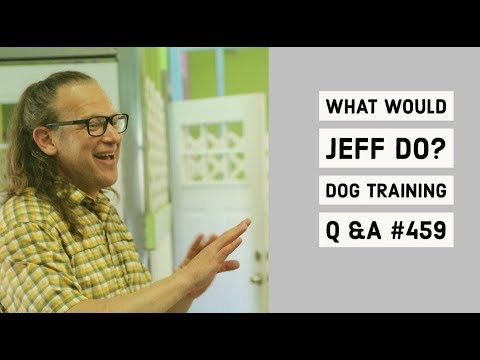Stop dog barking in crate | Training a fearful dog | What Would Jeff Do? Dog Training Q & A #459